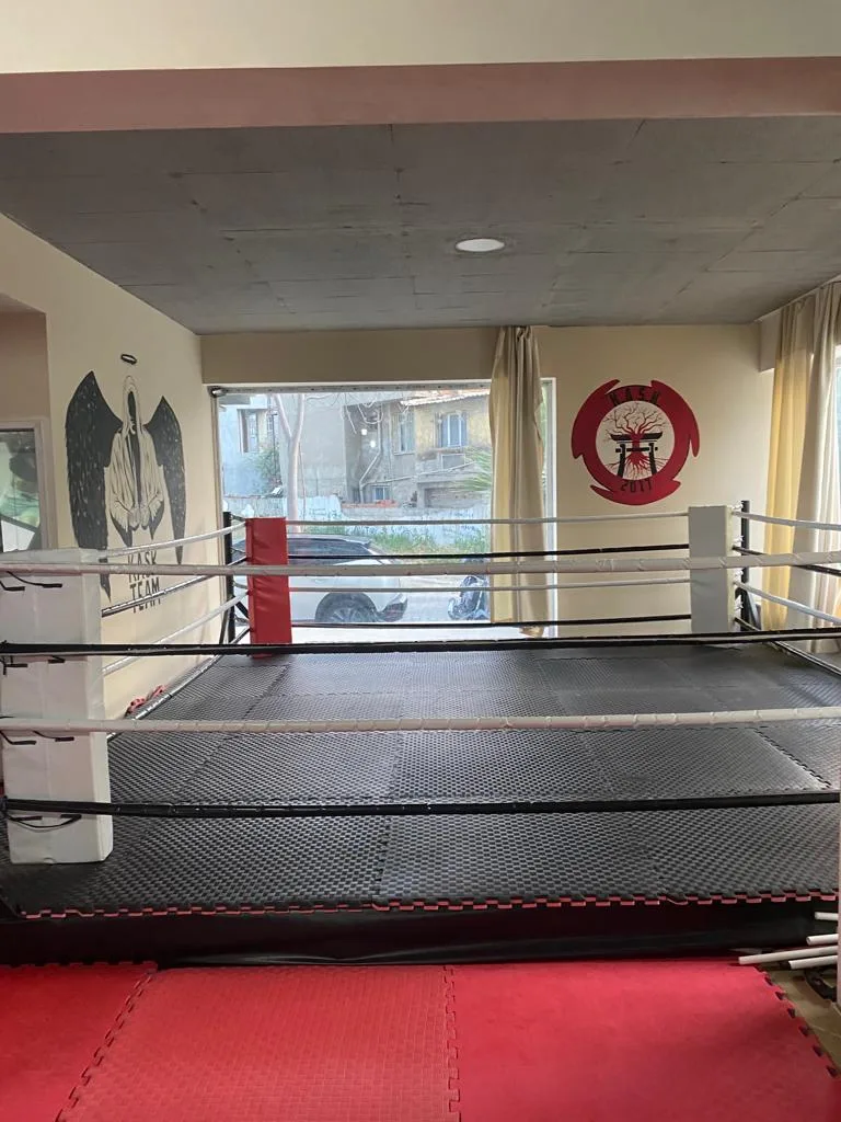 Köklü Ata salonundaki profesyonel ring